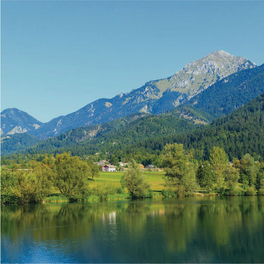 GOZDNA KOPEL (24.05.2025)