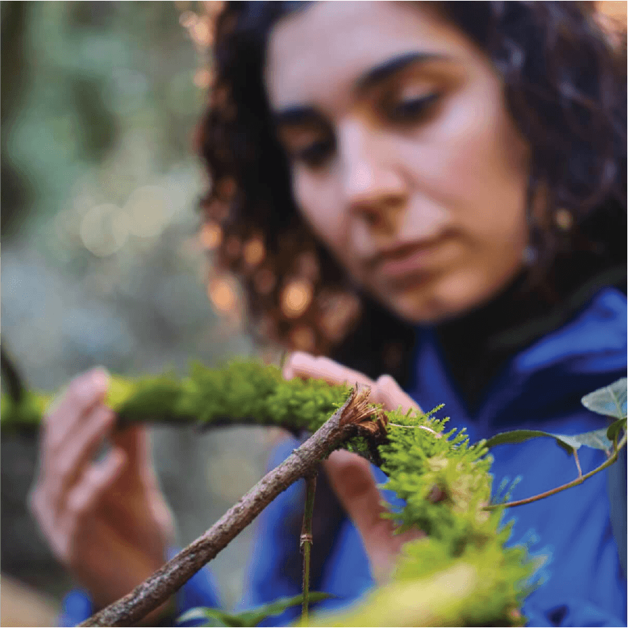 Tečaj: Specialist/ka povezovanja z naravo [04.-25.04.2026] (dopoldne ob sobotah)
